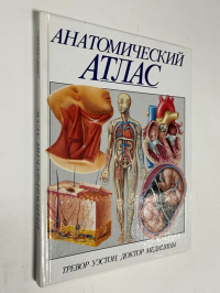 Анатомический атлас.